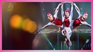Cirque du Soleil Presents: Quidam