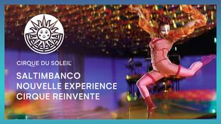 Saltimbanco, Nouvelle Experience, Cirque Reinvente