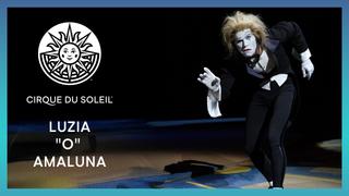 Luzia, O & Amaluna