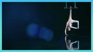 Best of Trapeze: Alegria, Kooza, Luzia, O and More...