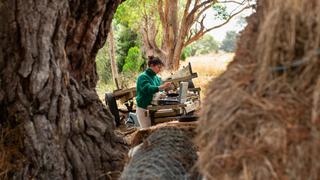 A Midnight Hunt A Midnight Hunt