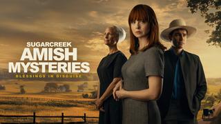  watch Sugarcreek Amish Mysteries: Blessings in Disguise