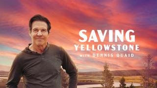  watch Saving Yellowstone, with Dennis Quaid