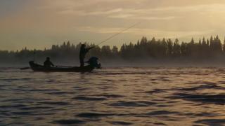 Wildlife and the Wilderness Wildlife and the Wilderness