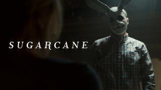 Sugarcane