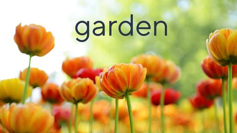 Girl Next Door Gardening -- Sale & Clearance