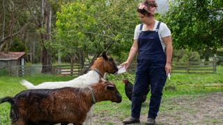 A Girl's Guide to Hunting, Fishing and Wild Cooking