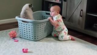 Sterling and Lolo Wood CXLVIII