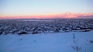 United Gangs of America