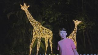 Cultural Vibrations Cultural Vibrations