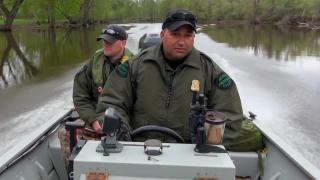 The Buck Stops Here The Buck Stops Here