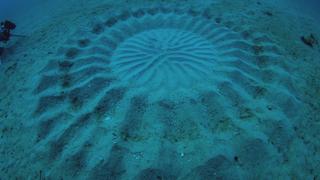 Infrared UFO Attack, Human Bear & Underwater Crop Circles Infrared UFO Attack, Human Bear & Underwater Crop Circles