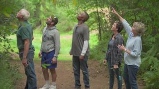 Pine, Pears & Potpourri Pine, Pears & Potpourri