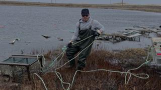 Tides of Trouble Tides of Trouble