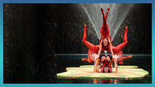 "O", Saltimbanco & 'Twas the Night Before…