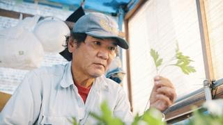 Japan - Okinawa - The Purpose of Life Part II Japan - Okinawa - The Purpose of Life Part II