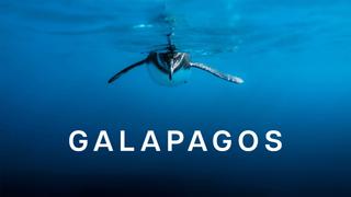 Galapagos