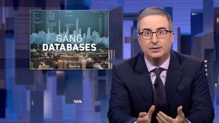 Gang Databases