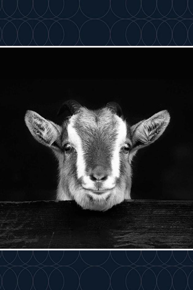 Laura Geller's Beauty Besties x Beekman 1802