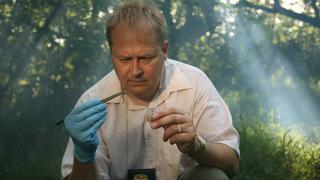 The Yosemite Park Murderer