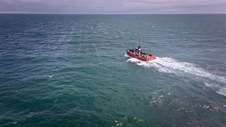 All In, All Out All In, All Out