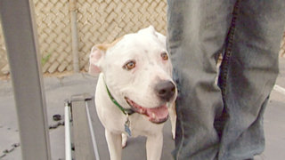 Emily Emily