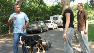 Mail Carriers vs. Dogs Mail Carriers vs. Dogs