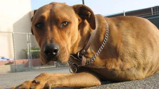 Motor Mouth Motor Mouth