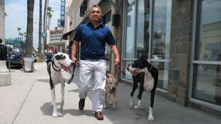 Dog Whisperer