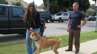 Fight Club Fight Club