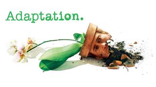 Adaptation