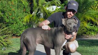 Night Terrors Night Terrors