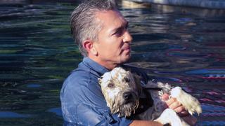 K-9 Phobia K-9 Phobia