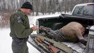 The Snow Tells a Story The Snow Tells a Story