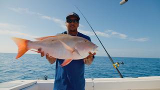 Local Fave: Mutton Snapper vs. Tautog Local Fave: Mutton Snapper vs. Tautog