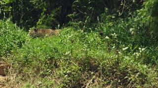 The Great Collision The Great Collision