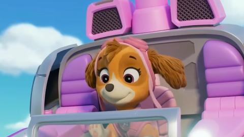 Pups Save Captain Crinkle-Cut/Pups Save the Big Nightlight