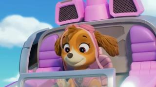 PAW Patrol
