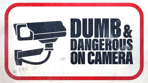 Dumb & Dangerous: On Camera