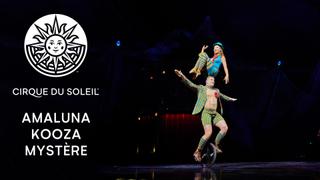 Amaluna, Kooza & Mystere