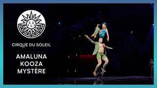 Amaluna, Kooza & Mystere