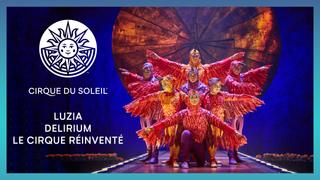 Le Cirque Reinvente, Delirium & Luzia