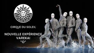 Nouvelle Experience, Varekai & O