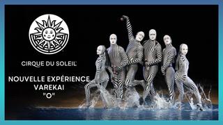 Nouvelle Experience, Varekai & O