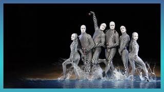 Nouvelle Experience, Varekai & O