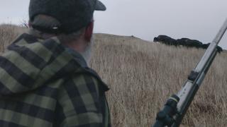 The Thundering Herd
