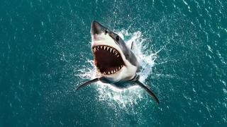 Air Jaws: The Hunt for Colossus