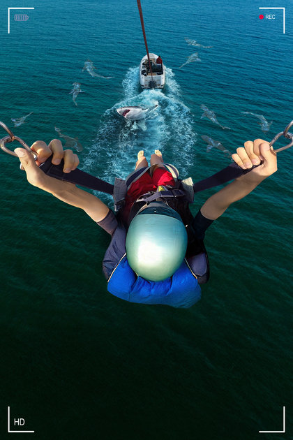 Caught! Sharks Strike Back