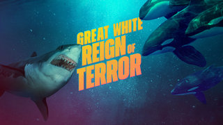 Great White Reign of Terror