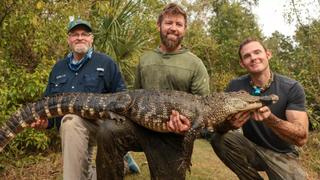 Meth Gators Meth Gators